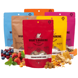 Mini Sampler Pack
