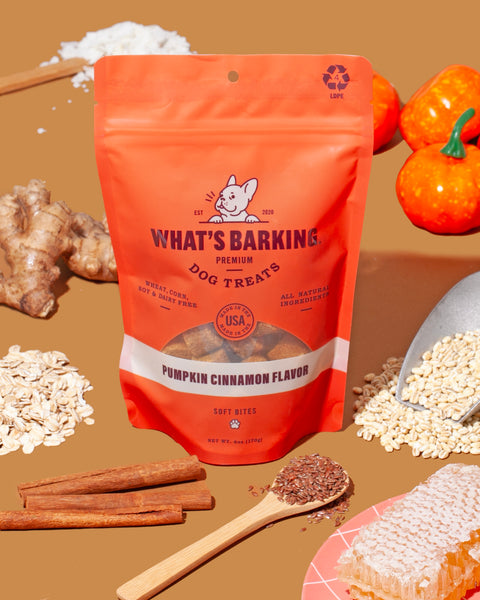 hide BARK / THE TIME HAS COME＋3枚 Salmon No-Hide® Dog Chews | Safer Rawhide Alternative